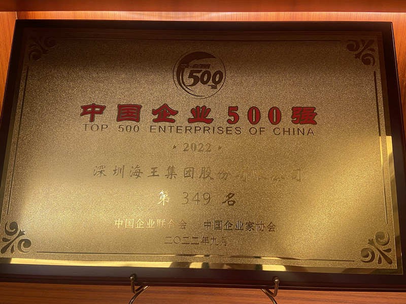 中國企業500強 第349名 獎牌.jpg